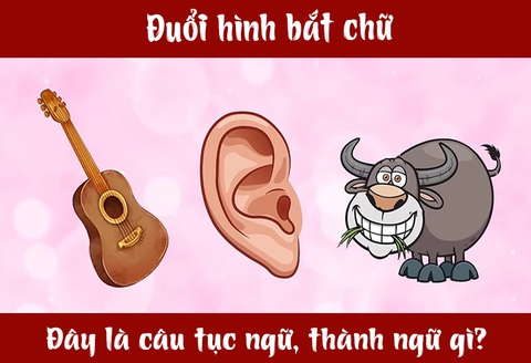 IQ cao có đoán được đây là câu tục ngữ, thành ngữ gì? (P8)- Ảnh 5. IQ cao có đoán được đây là câu tục ngữ, thành ngữ gì? (P8)- Ảnh 5.