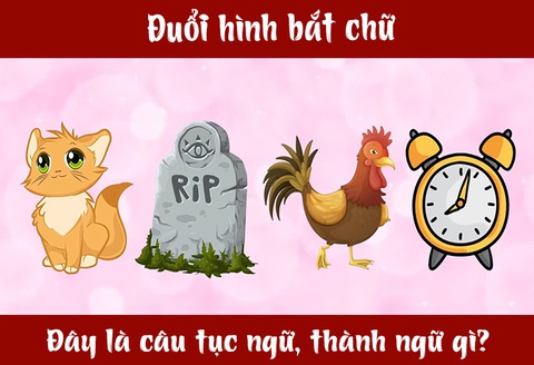 IQ cao có đoán được đây là câu tục ngữ, thành ngữ gì? (P8)- Ảnh 1. IQ cao có đoán được đây là câu tục ngữ, thành ngữ gì? (P8)- Ảnh 1.