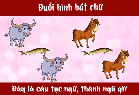 IQ cao có đoán được đây là câu tục ngữ, thành ngữ gì? (P6)- Ảnh 1. IQ cao có đoán được đây là câu tục ngữ, thành ngữ gì? (P6)- Ảnh 1.