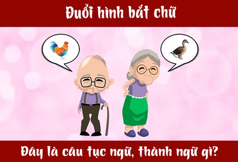 IQ cao có đoán được đây là câu tục ngữ, thành ngữ gì? (P6)- Ảnh 3. IQ cao có đoán được đây là câu tục ngữ, thành ngữ gì? (P6)- Ảnh 3.