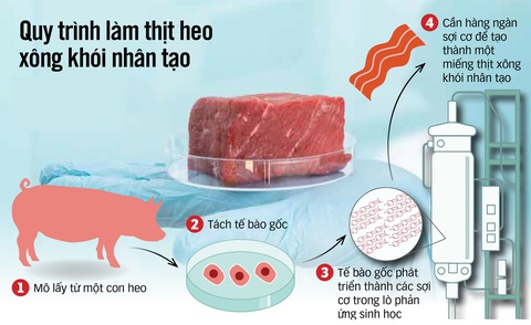 Lý do Ý cấm thịt nhân tạo: Bảo vệ nông dân và truyền thống- Ảnh 1. Ảnh: CHEMISTRY WORLD - Đồ họa: BBC - Việt hóa: UYÊN PHƯƠNG - Trình bày: N.KH.