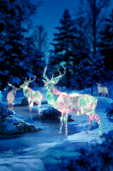 Khu rừng pha lê cùng cây thông giáng sinh nhiều màu sắc mùa Noel 2024- Ảnh 7. Khu rừng pha lê sẽ bừng sáng trong đêm tối