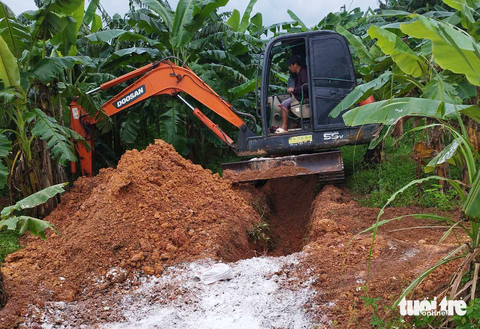 Dịch tả heo châu Phi lây lan rộng, Quảng Trị thiếu hóa chất dập dịch- Ảnh 1. Đào hố tiêu hủy heo bị dịch tả - Ảnh: QUANG HÀ