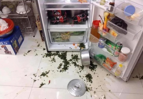 Ảnh vui 28-11: Khi người 'sai chính tả' mở quán ăn- Ảnh 2. Mẹ dặn lấy nồi canh trong tủ lạnh ra hâm
