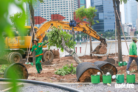 Trồng 15.000 cây hướng dương, bờ sông Sài Gòn phía Thủ Thiêm chờ ngày rực rỡ- Ảnh 4. Lau sậy, cây dại đã nhường chỗ cho công viên cây xanh dọc bờ sông - Ảnh: LÊ PHAN