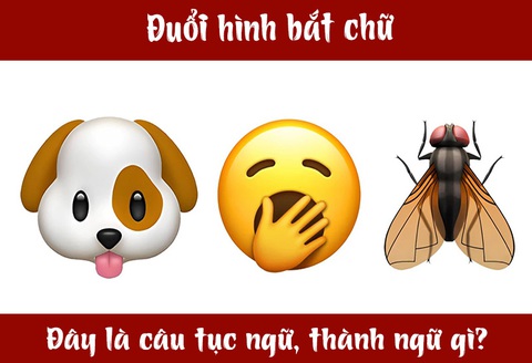 IQ cao có đoán được đây là câu tục ngữ, thành ngữ gì? (P9)- Ảnh 3. IQ cao có đoán được đây là câu tục ngữ, thành ngữ gì? (P9)- Ảnh 3.