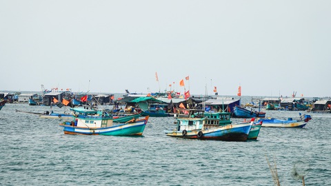 Thời tiết hôm nay 8-3: Bắc Bộ mưa rét, Nam Bộ nắng, trên biển dông gió mạnh- Ảnh 1. Hôm nay 8-3, thời tiết biển xấu, hoạt động đánh bắt, đi lại cần chú ý - Ảnh: T.L