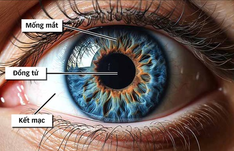 Vì sao mống mắt được thu thập làm dữ liệu căn cước?- Ảnh 1. Ảnh minh họa sử dụng công nghệ AI: TẤN ĐẠT