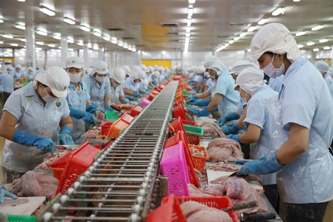 Những tỉnh, thành phố nào dẫn đầu về tăng trưởng kinh tế năm 2023?- Ảnh 1. Lợi thế xuất khẩu giúp nhiều địa phương duy trì được đà tăng trưởng cao trong năm nay - Ảnh: CHÍ QUỐC