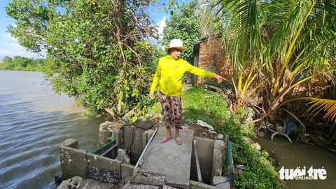 Nước kèm theo bùn đất từ bên ngoài sông chảy vào bên trong ao nuôi thủy sản của bà Huỳnh Thị Á khiến tôm cá chết sạch - Ảnh: LÂM THIÊN Nước kèm theo bùn đất từ bên ngoài sông chảy vào bên trong ao nuôi thủy sản của bà Huỳnh Thị Á, khiến tôm cá chết sạch