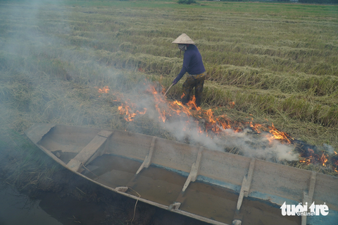 Nông dân phấn khởi vì giá lúa Thời gian qua, trước thực tế giá lúa tăng cao, nhiều nông dân miền Tây liền xuống giống ngay sau khi vừa thu hoạch