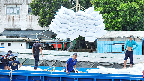 Còn nhiều cách tăng giá trị hạt gạo Việt- Ảnh 1. Doanh nghiệp xuất khẩu lúa gạo khẳng định năm 2023 giá trị xuất khẩu gạo sẽ đạt trên 4,3 tỉ USD. Đây là mức giá trị ngành gạo mang lại cao nhất từ trước đến nay - Ảnh: BỬU ĐẤU