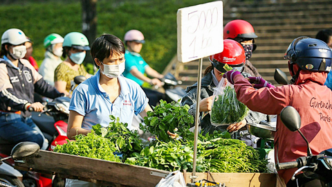 Công nhân xoay xở khi không tăng ca- Ảnh 1. Công nhân Khu chế xuất Linh Trung 1 (TP Thủ Đức, TP.HCM) tranh thủ ghé mua rau củ giá rẻ được bày bán gần cổng công ty sau giờ làm về để tiết kiệm - Ảnh: PHƯƠNG QUYÊN