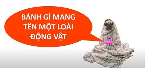 Câu đố hack não: Cải gì trồng dưới đất, tên gọi lại trên cao?- Ảnh 3. Câu đố hack não: Cải gì trồng dưới đất, tên gọi lại trên cao?- Ảnh 3.