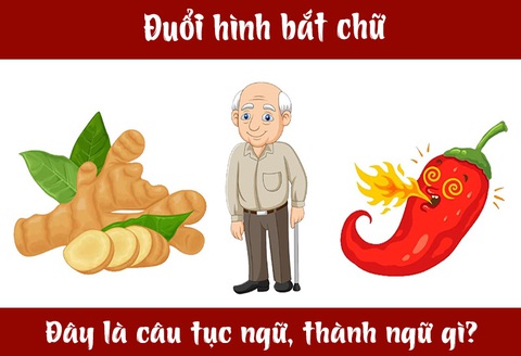 IQ cao có đoán được đây là câu tục ngữ, thành ngữ gì? (P10)- Ảnh 3. IQ cao có đoán được đây là câu tục ngữ, thành ngữ gì? (P10)- Ảnh 3.