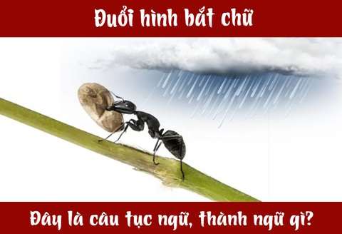 IQ cao có đoán được đây là câu tục ngữ, thành ngữ gì? (P11)- Ảnh 1. IQ cao có đoán được đây là câu tục ngữ, thành ngữ gì? (P11)- Ảnh 1.