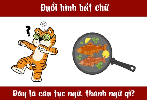 IQ cao có đoán được đây là câu tục ngữ, thành ngữ gì? (P10)- Ảnh 5. IQ cao có đoán được đây là câu tục ngữ, thành ngữ gì? (P10)- Ảnh 5.