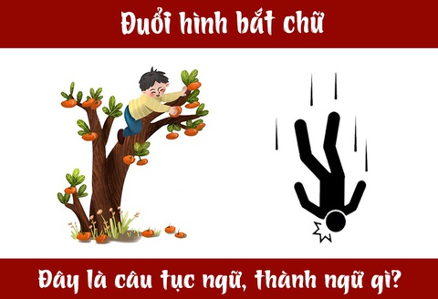 IQ cao có đoán được đây là câu tục ngữ, thành ngữ gì? (P11)- Ảnh 5. IQ cao có đoán được đây là câu tục ngữ, thành ngữ gì? (P11)- Ảnh 5.