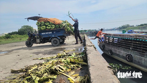 TP.HCM: Cận cảnh 'hoang phế' của Cảng Phú Định - Ảnh 7. Hiện nay cảng Phú Định chủ yếu đón các ghe nhỏ chở hàng hóa, trái cây từ miền Tây lên - Ảnh: NGỌC KHẢI