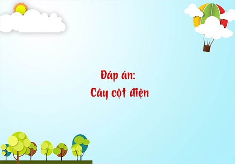 Câu đố hack não: Con gì không đầu, không cổ, mắt ở trên thân? - Ảnh 1.