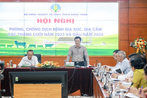 Giá thịt heo, gia cầm có tăng đột biến dịp Tết Nguyên đán? - Ảnh 3. Cục trưởng Cục Thú y Nguyễn Văn Long cho biết bệnh dịch tả heo châu Phi, cúm gia cầm, lở mồm long móng diễn biến rất phức tạp trong nước - Ảnh: C.TUỆ