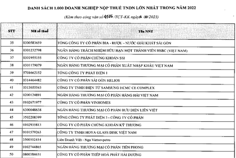 TCBS hoàn tất nộp bổ sung thuế hơn 4,1 tỉ đồng - Ảnh 2. TCBS trong Top 46 doanh nghiệp nộp thuế lớn nhất Việt Nam - Nguồn: Bộ Tài chính và Tổng cục Thuế