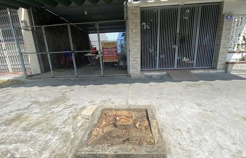 Vụ chặt cây sưa tại Đà Nẵng: Trồng cây ven đường phải xin phép?- Ảnh 1. Gốc sưa bị cho là sâu bệnh rồi cưa hạ trước nhà 56 Nguyễn Khắc Nhu - Ảnh: B.D.