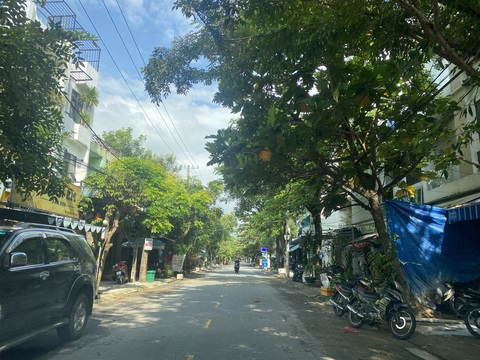 Vụ chặt cây sưa tại Đà Nẵng: Trồng cây ven đường phải xin phép?- Ảnh 3. Những vỉa hè đủ thứ cây do dân tự trồng tại quận Liên Chiểu, trong đó có cây sa kê trong nhóm hạn chế trồng trong đô thị Đà Nẵng - Ảnh: B.D.