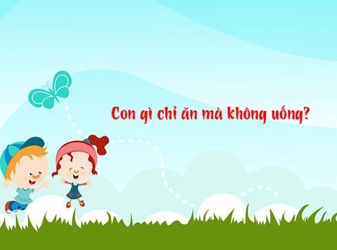 Con Gì Uống Mà Không Ăn? Khám Phá Câu Đố Thú Vị