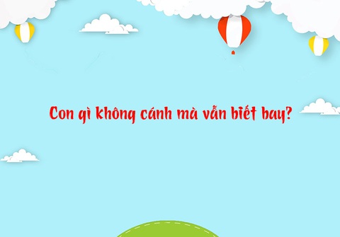 Câu đố hack não: Con gì chỉ ăn mà không uống?- Ảnh 3. Câu đố hack não: Con gì chỉ ăn mà không uống?- Ảnh 3.