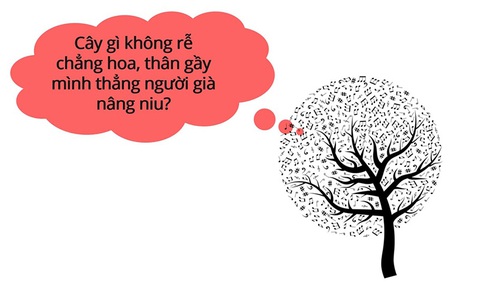 Câu đố hack não: Cái gì càng to càng dễ vỡ?- Ảnh 3. Câu đố hack não: Cái gì càng to càng dễ vỡ?- Ảnh 3.