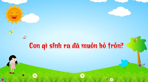 Câu đố hack não: Con gì chỉ ăn mà không uống?- Ảnh 5. Câu đố hack não: Con gì chỉ ăn mà không uống?- Ảnh 5.