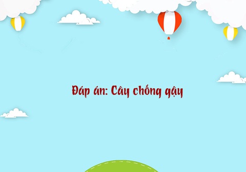 Câu đố hack não: Cái gì càng to càng dễ vỡ?- Ảnh 4.