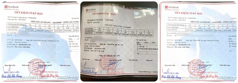 Gửi tiết kiệm 4 năm mới biết không được tiền lãi vì mang quốc tịch nước ngoài - Ảnh 3. Ba sổ tiết kiệm với tổng số tiền 900 triệu đồng mà gia đình bà M. được cấp sau khi gửi tiền - Ảnh: TIẾN THẮNG chụp lại