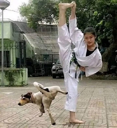 Ảnh vui 5-11: Lấy chồng thật áp lực - Ảnh 3. Hay ra dẻ quá à!