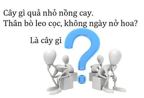 Câu đố hack não: Cái gì lắm chân tay, không đuôi mà có hai đầu? - Ảnh 4. Câu đố hack não: Cái gì lắm chân tay, không đuôi mà có hai đầu? - Ảnh 4.