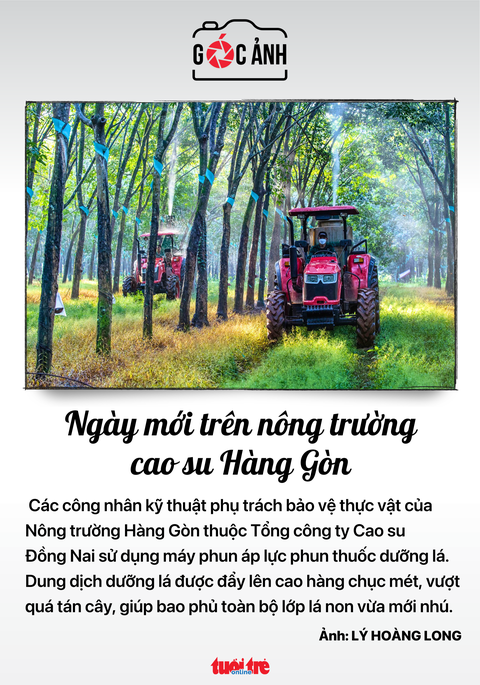 Tin tức sáng 7-11: - Ảnh 5. Tin tức sáng 7-11: - Ảnh 5.