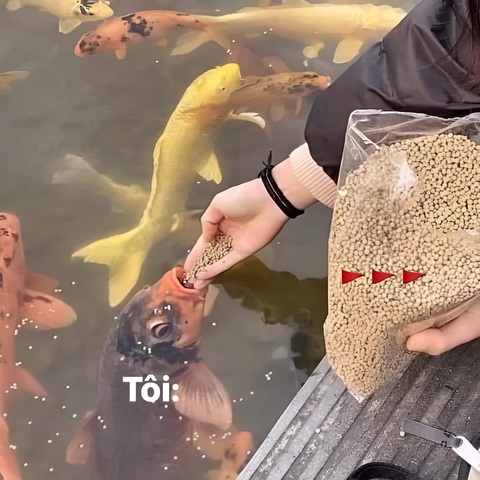 Ảnh vui 7-11: Đen Vâu đổi nghề, làm bác bảo vệ 'siêu ngầu' - Ảnh 6. Tôi khi nghe ai đó nói dành cả thanh xuân cho mình.