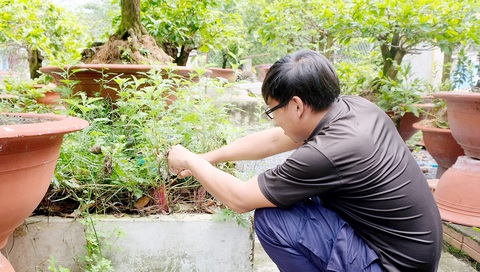 Ngôi mộ không thân nhân trong sân nhà được mẹ con bà Quá đắp xi măng, trồng hoa - Ảnh: YẾN TRINH Ngôi mộ không thân nhân trong sân nhà được mẹ con bà Quá đắp xi măng, trồng hoa - Ảnh: YẾN TRINH