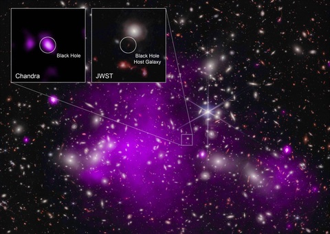 Astrophysicists combined data from JWST and the Chandra X-ray Observatory to identify the growing black hole at the center of this image. Image by X-ray: NASA/CXC/SAO/Ákos Bogdán et al.; Infrared: NASA/ESA/CSA/STScI; Image Processing: NASA/CXC/SAO/L. Frattare, K. Arcand Hình ảnh minh họa hố đen vừa được phát hiện - Ảnh: NASA/ESA