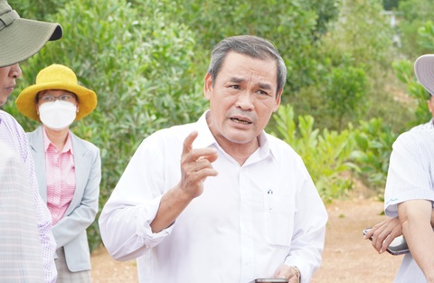 Vì sao Quảng Nam chưa bổ nhiệm lại chức giám đốc Sở Tài nguyên và môi trường? - Ảnh 1. Ông Trần Thanh Hà trong thời điểm giữ chức giám đốc Sở Tài nguyên và Môi trường Quảng Nam, đến nay tỉnh này vẫn chưa thực hiệm bổ nhiệm lại đối với ông - Ảnh: LÊ TRUNG