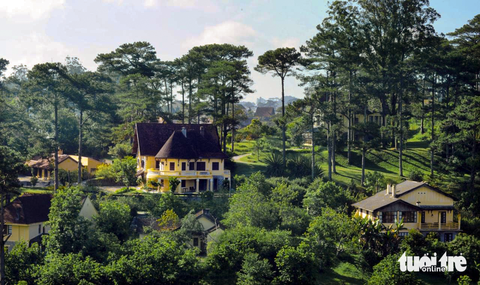 Phát triển du lịch Đà Lạt, từ mốc 130 năm nghĩ đến tương lai - Ảnh 4. Không gian xanh, không khí lạnh là những đặc tính đô thị đã lưu dấu trong tiềm thức du khách - Ảnh: M.V