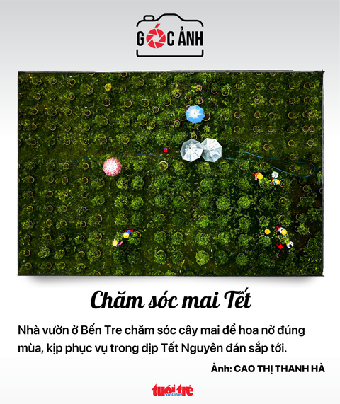 Tin tức sáng 9-11: - Ảnh 2. Tin tức sáng 9-11: - Ảnh 2.