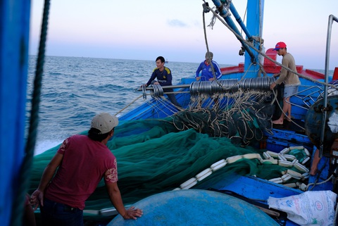 Quảng Ngãi đề xuất cấm đánh bắt có thời hạn 5 khu vực biển ven bờ - Ảnh 1. Quảng Ngãi báo động tình trạng khai thác thủy hải sản quá mức ở vùng ven bờ