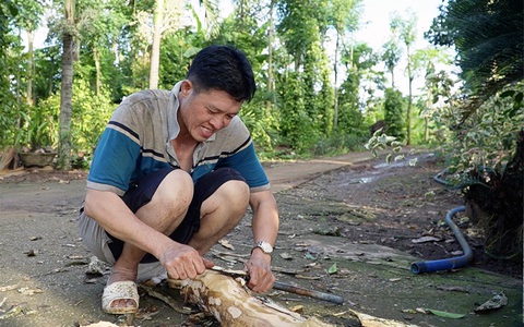 Cải thiện sinh kế từ nguồn vốn vay không lãi suất - Ảnh 3. Vợ chồng anh Đỗ Quốc Phong và chị Thái Thị Mỹ Phận ráo riết làm chuồng trại, đợi khi có vốn vay sẽ bắt dê giống về nuôi - Ảnh: A LỘC