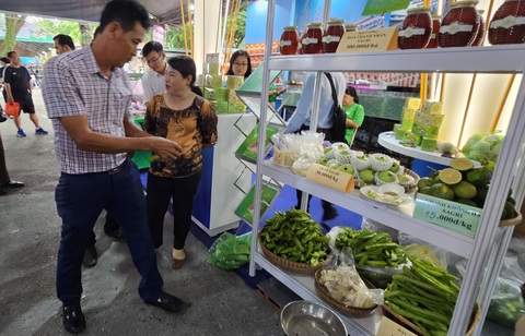 TP.HCM lần đầu tổ chức giải thưởng Thương hiệu Vàng nông nghiệp - Ảnh 1. Ngành nông nghiệp TP đang sản xuất nhiều sản phẩm an toàn, chất lượng - Ảnh: N.TRÍ