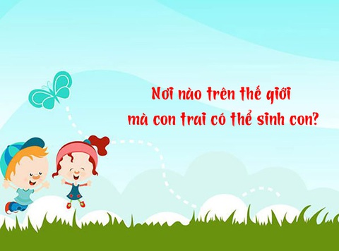 Câu đố hack não: Nơi nào trên thế giới con trai có thể sinh con?- Ảnh 1. Câu đố hack não: Nơi nào trên thế giới con trai có thể sinh con?- Ảnh 1.