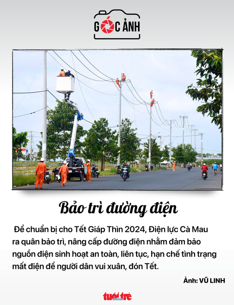 Bảo trì đường điện - Ảnh: VŨ LINH Bảo trì đường điện - Ảnh: VŨ LINH