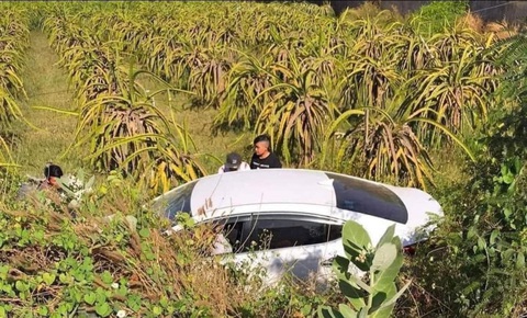 Ảnh vui 10-12: Nên đi rửa xe hay không?- Ảnh 6. Lần đầu tiên, chiếc ô tô có trong vườn thanh long?!