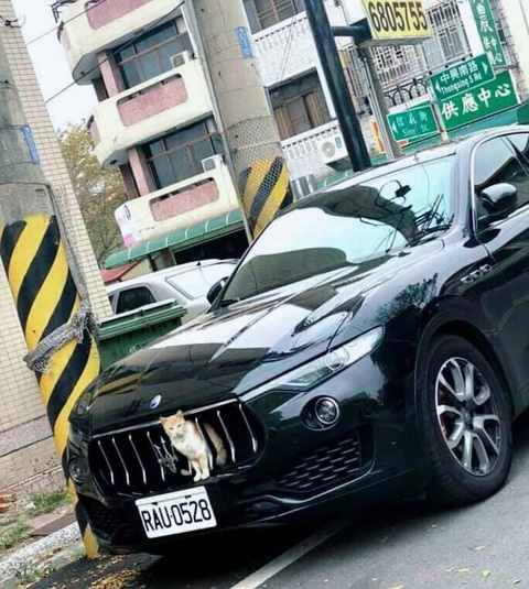 Ảnh vui 10-12: Nên đi rửa xe hay không?- Ảnh 2. Xe mới đổi... logo.
